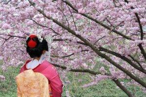 Descubre Japón