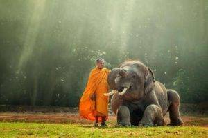 Tailandia de Norte a Sur