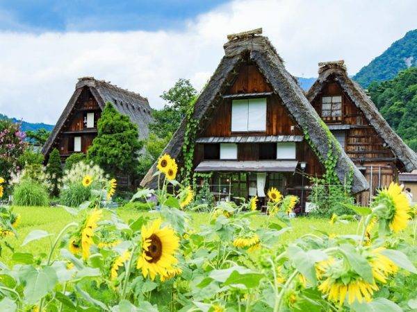 Lo Mejor de Japón - Shirakawago
