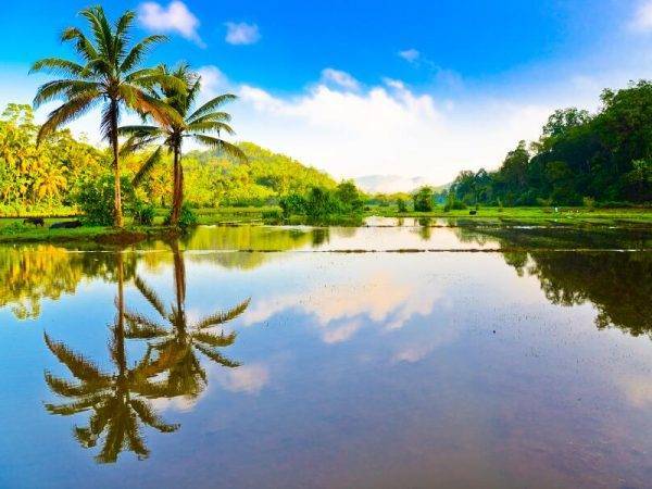 viaje sri lanka y maldivas - colombo