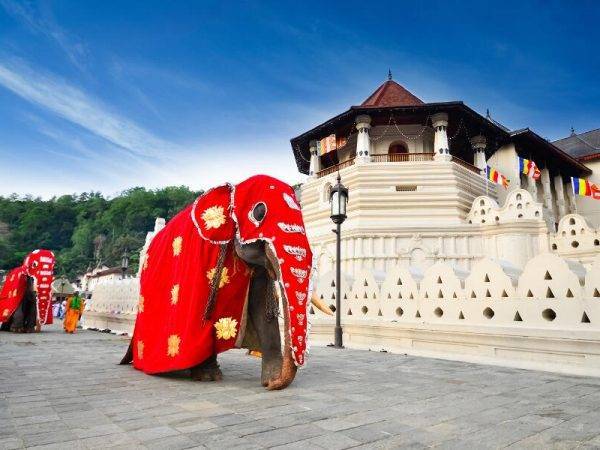 viajes sri lanka y maldivas - templo diente de buda