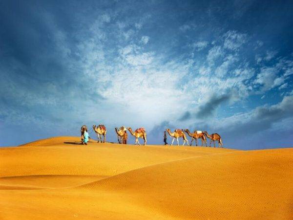 Dubai, Sri Lanka y Maldivas - Parque nacional de Minneriya