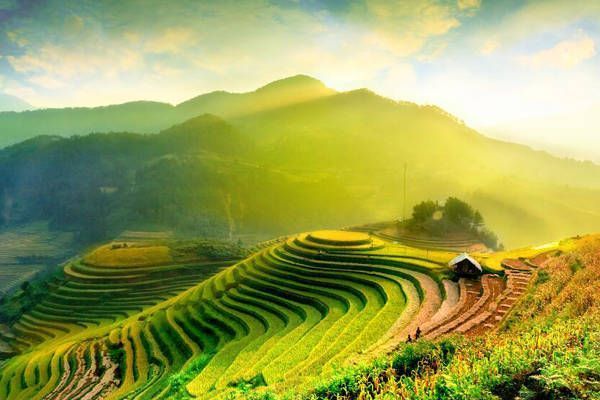 Viaje al corazón de Vietnam campos arroz halong
