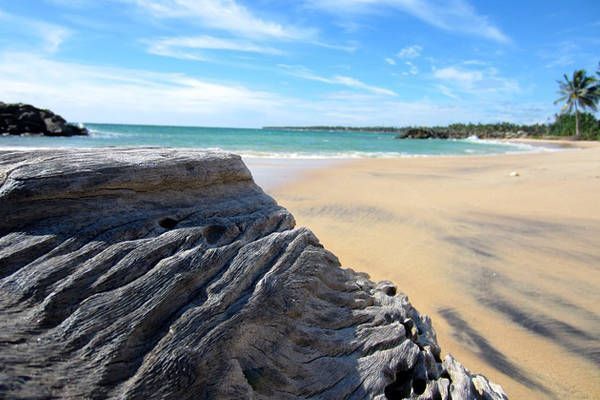 playa costa sur sri lanka