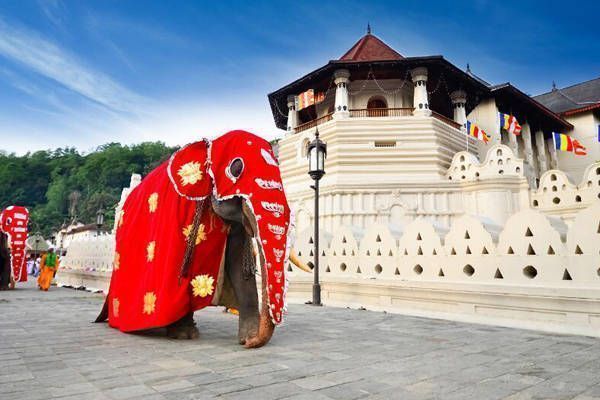 Templo Diente de Buda en Sri Lanka templo diente buda sri lanka