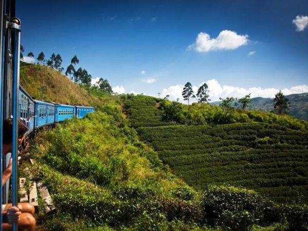 Viajes Sri Lanka - Nuwara Eliya - Tren Panoramico
