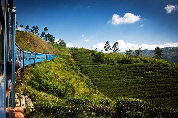 tren panorámico tierras altas sri lanka