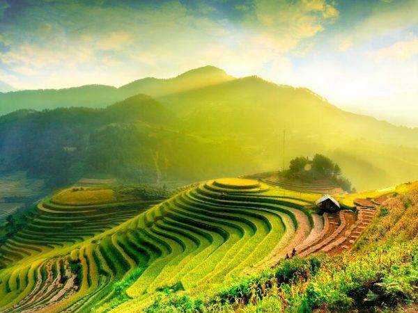 Vietnam Sapa - Halong