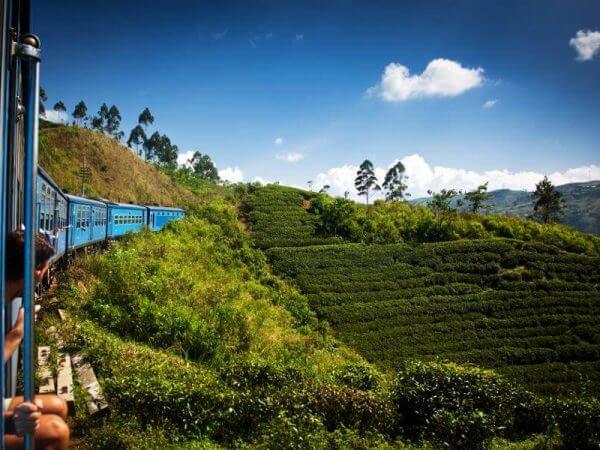 Sri Lanka verano -Tren Panorámico