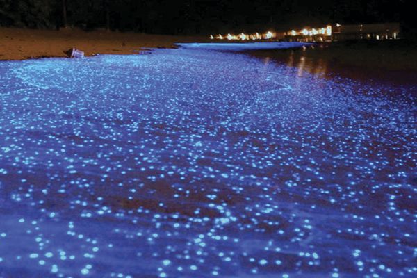 Islas Vaadhoo Maldivas Islas Vaadhoo Maldivas