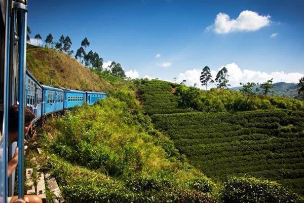 Viajar Sri Lanka Nuwara Eliya tren