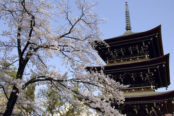 Viajar Takayama Kokubunji Viajar Takayama Kokubunji