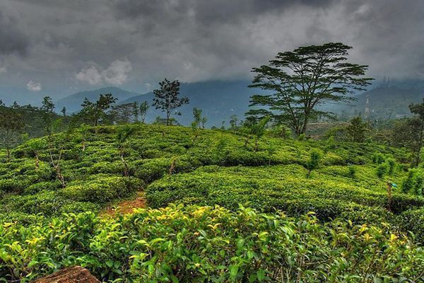 paisaje-natural-Sri-Lanka-Sildavia-blog