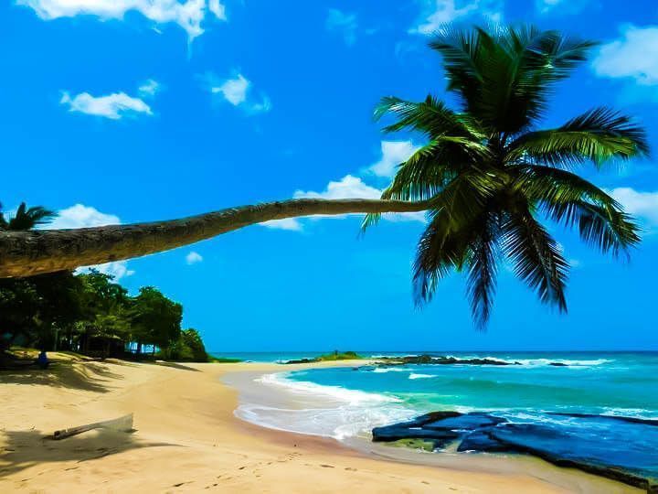 curiosidades de sri lanka playas
