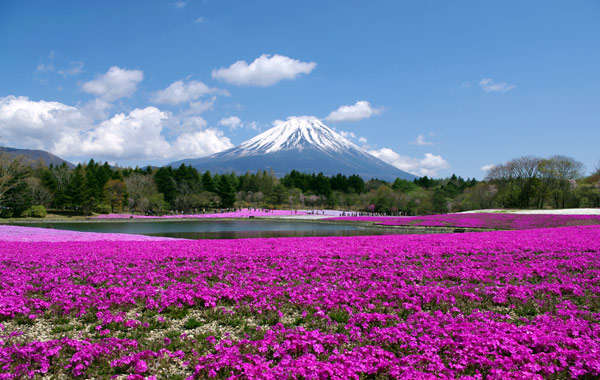mejor epoca para viajar a japon Monte Fuji mejor epoca para viajar a japon Monte Fuji