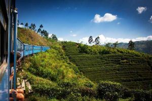 Tren panoramico Sri Lanka