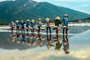 Viajes Vietnam Vida y Cultura