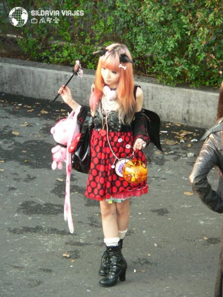 viajes a Japón manga-parque yoyoigi