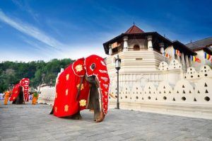 viajar sri lanka -Templo diente de Buda