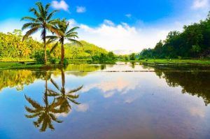 viajes a sri lanka
