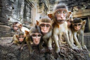 9 platos imperdibles si viajas a Tailandia