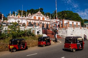 Antes de viajar a Sri Lanka: lo que todo viajero ha de saber