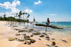 ¿Por qué Sri Lanka en invierno?