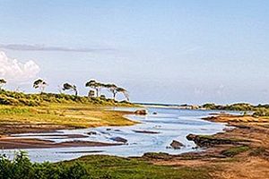 Biodiversidad del Parque Nacional de Yala en Sri Lanka