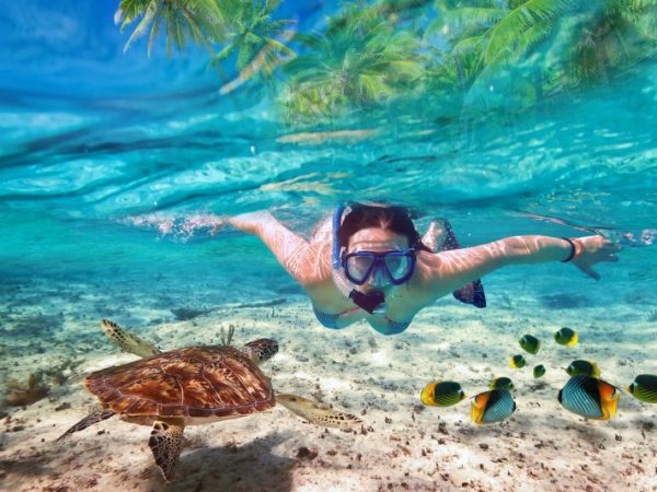 sun aqua_vilu-reef