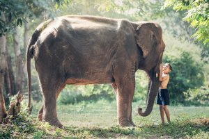 Biodiversidad en Tailandia: Paraíso natural