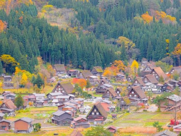 Shirakawago